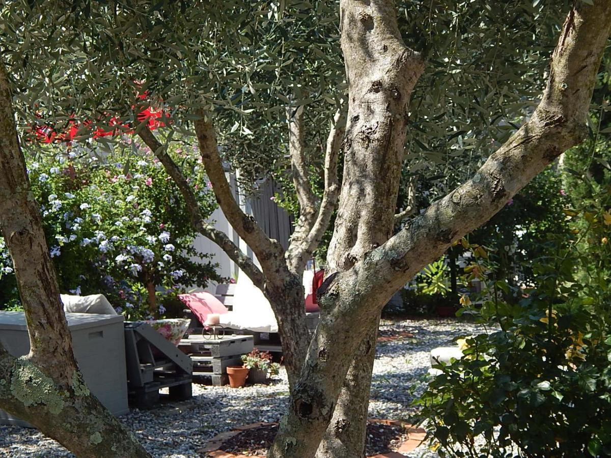 ليفانتو B&B Pie Del Castello المظهر الخارجي الصورة