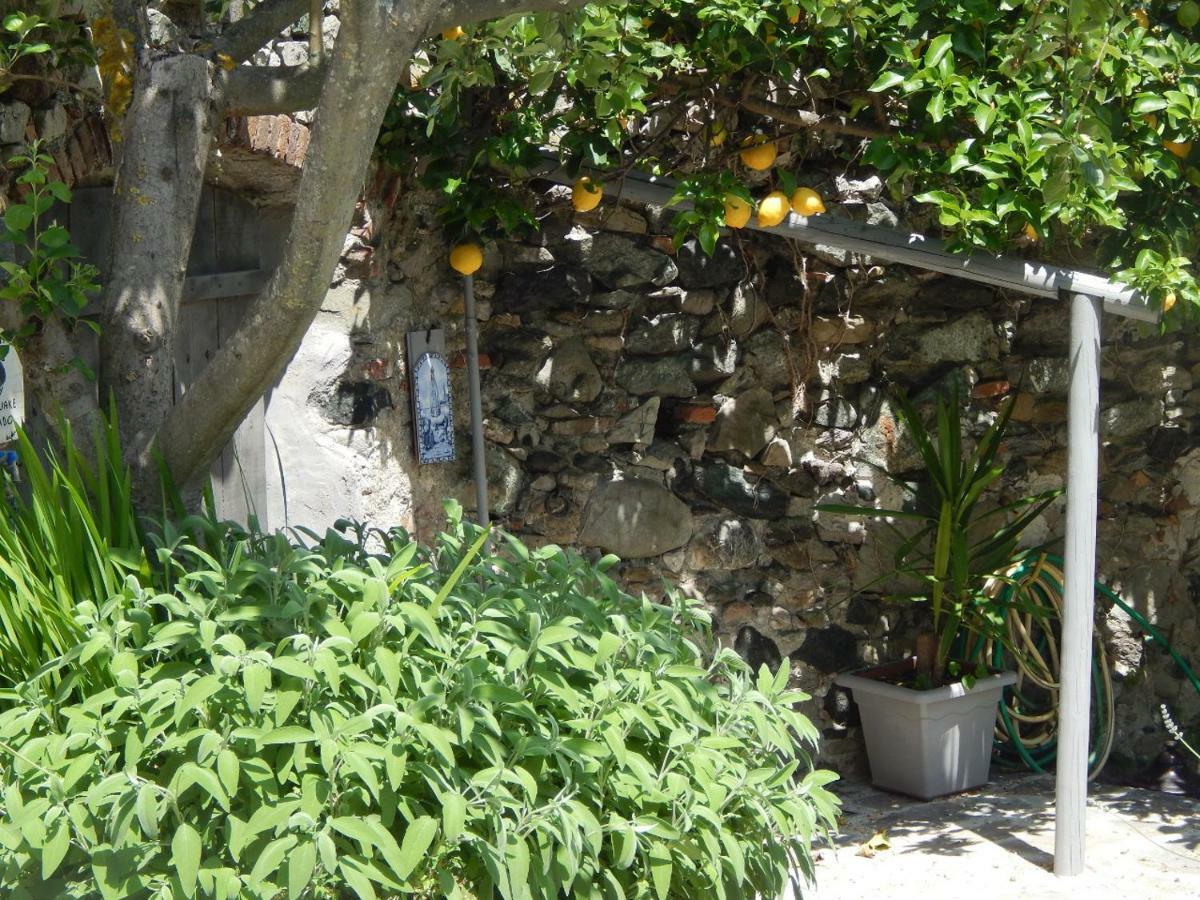 ليفانتو B&B Pie Del Castello المظهر الخارجي الصورة